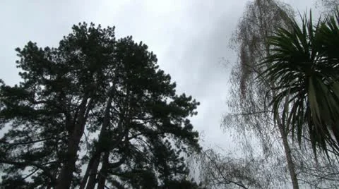 Small Municipal Park Stock Footage 11522474