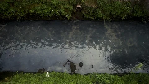 Small Murky Water Stream Flowing Through Narrow Ditch With Green Vegetation.. Stock Footage 340453131