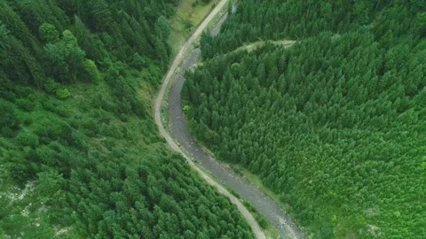 Small narrow bend road and green wood surround Stock Footage 314109217