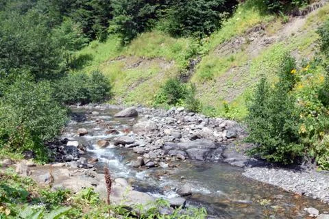 Small narrow mountain river Stock Photos