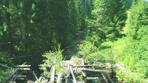 Small narrow river stream and wooden dam, scenic rural tranquil Stock Footage 283349826