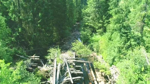 Small narrow river stream with broken dam Stock Footage 285926908