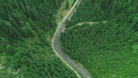 Small narrow road in mountain area surround green wood Stock Footage 314897633
