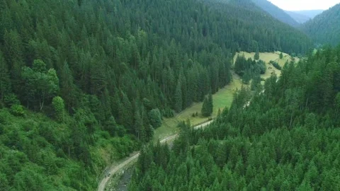 Small narrow road in mountain area surround green wood Stock Footage 315862168