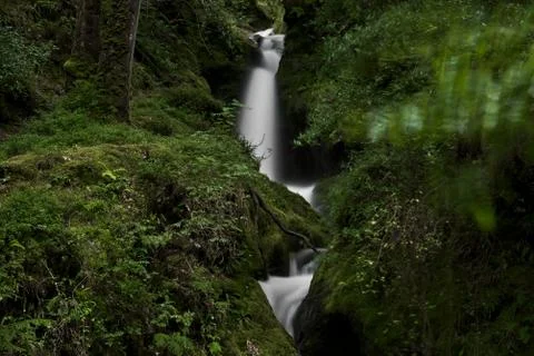Small narrow waterfall in magic forest Stock Photos