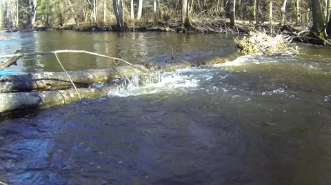 Small natural dam Stock Footage 48966531