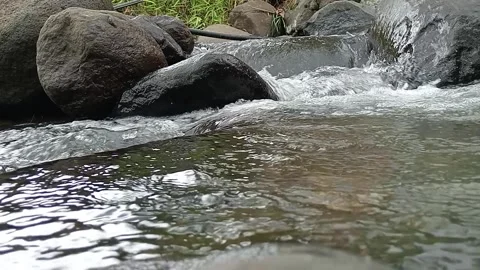 Small Natural Stream Flowing Gently Over Stones Stock Footage 330459201