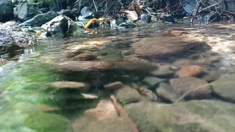 Small Natural Stream Flowing Over Rocky Riverbed Stock Footage 329765086