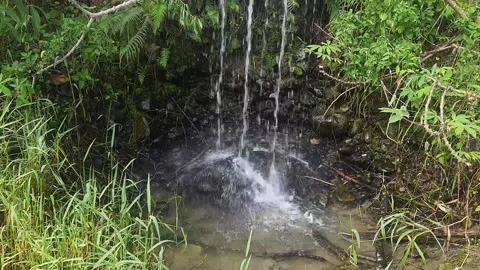 Small Natural Waterfall Cascading Down on Rocks in Lush Tropical Forest 스톡 동영상 335125337