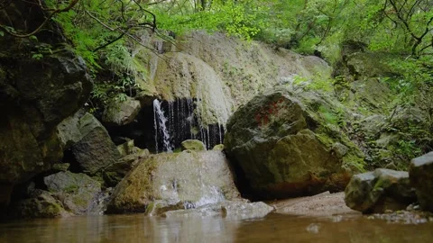 Small natural waterfall cascading over mossy rocks in a green forest setting Stock Footage 342310314