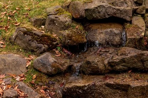 Small Natural Waterfall Flowing Between Mossy Rocks with Autumn Leaves 库存照片