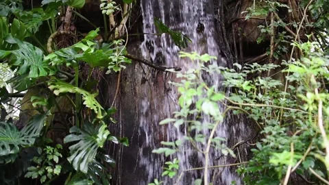 A small naturally formed waterfall. Stock Footage 321936142