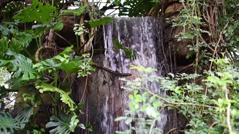 A small naturally formed waterfall. Stock Footage 321936145