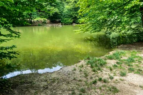 Small nice pond Stock Photos