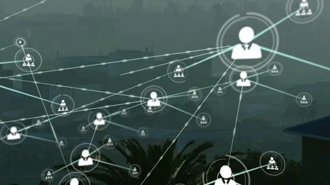 Small node appearing by palm tree, spawning user icons and forming tech network Video stock 330935669