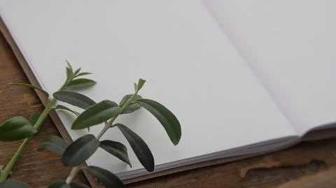 Small notebook with blank pages on an old brown wood and olive leaves Stock Photos