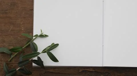 Small notebook with blank pages on an old brown wood and olive leaves Stock Photos