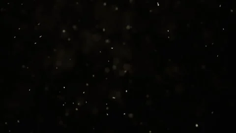 A small number of suspended particles on... | Stock Video | Pond5