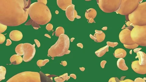 Small object and background lots of yellow petals bunch oranges flying air on Vídeo Stock 337035390