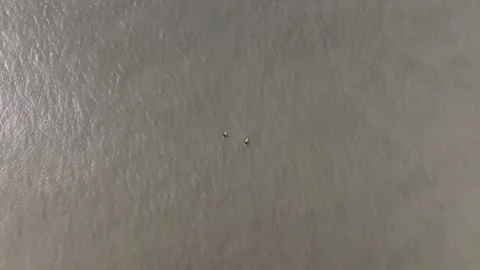 A small object is floating on the surface of a large body of water Stock Footage 297077776