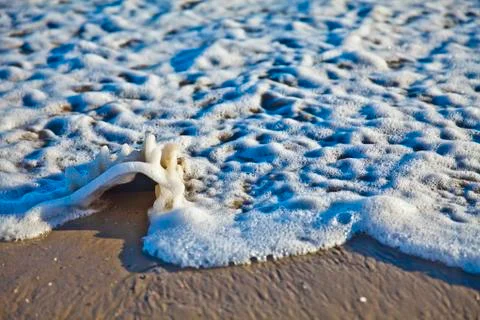 Small Ocean wave 스톡 사진