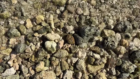 Small Ocean Wave Rolling Over Coral And Pebble Seabed, Top View 库存影片 336373069