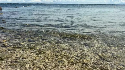 Small Ocean Wave Rolling Onto Tropical Shoreline, HD Video 库存影片 335683191