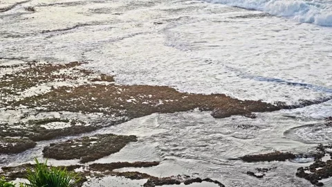 Small Ocean Waves Gently Flowing Through Coral Reefs in Shallow Tropical Waters Stock Footage 296571020