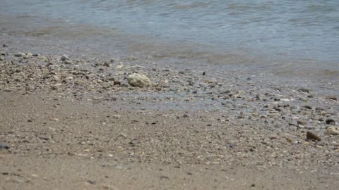 Small ocean waves gently hitting the sandy seashore on a sunny summer day Video stock 330589295