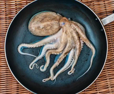 Small octopus on the pan Stock Photos