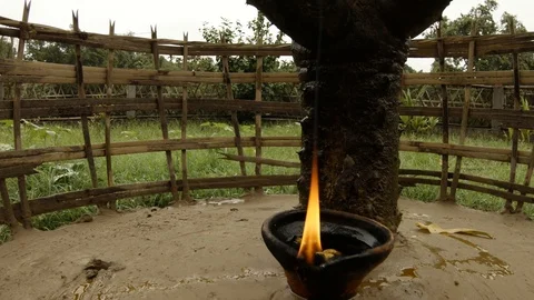 Small oil lamp fire, Bodo Assam Local Tribe sacred Siju tree Euphorbia antiquoru Stock Footage 113295331