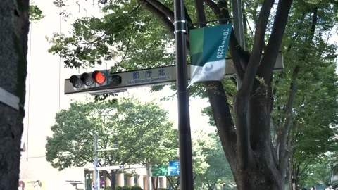 Small Olympic flag sign on Tokyo street pole waving in the wind with Stock Footage 157951308