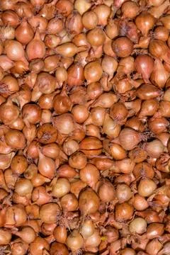 Small onions background Stock Photos