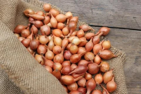 Small onions in a bag Stock Photos