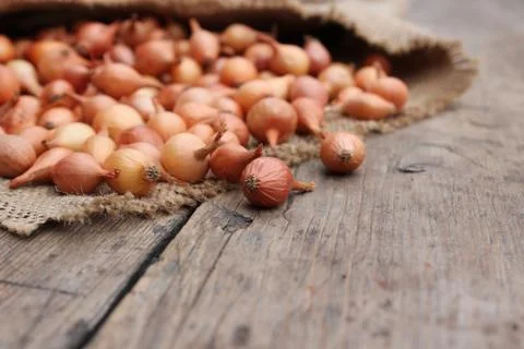 Small onions in a bag Stock Photos