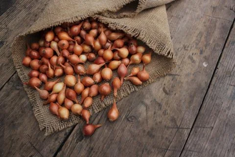 Small onions in a bag Stock Photos