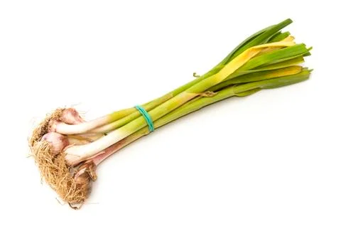 Small onions bunch 写真素材