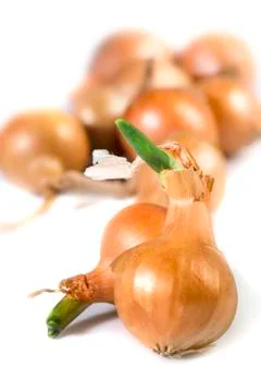 Small onions Stock Photos