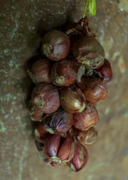 Small onions tie up on thread Stock Photos