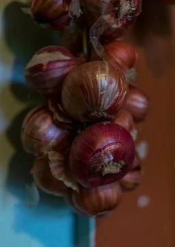 Small onions tie up on thread Foto stock