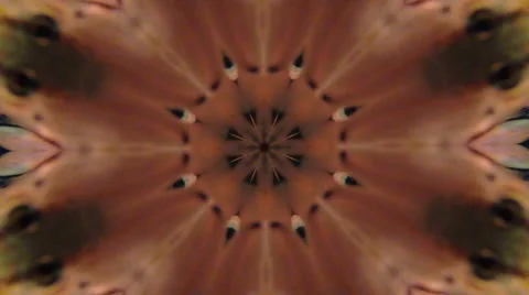 Small orange fish in a tank create an abstract kaleidoscope effect Video stock 49605254