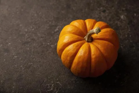 Small orange pumpkin close up. Pumpkins are widely grown for commercial use a Stock Photos