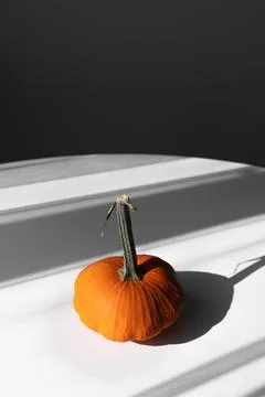 Small Orange Pumpkin on a White Table in Natural Light Top View Stock Photos