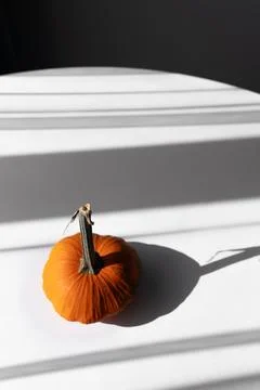 Small Orange Pumpkin on a White Table in Natural Light Top View Stock Photos