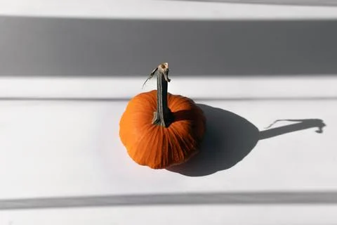 Small Orange Pumpkin on a White Table in Natural Light Top View Stock Photos