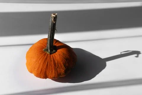 Small Orange Pumpkin on a White Table in Natural Light Top View Stock Photos