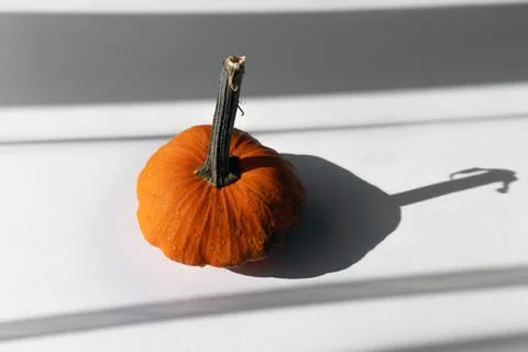 Small Orange Pumpkin on a White Table in Natural Light Top View Stock Photos