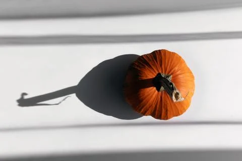 Small Orange Pumpkin on a White Table in Natural Light Top View Stock Photos