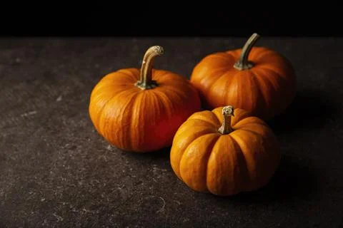Small orange pumpkins with black background. Pumpkins are widely grown for co Stock Photos