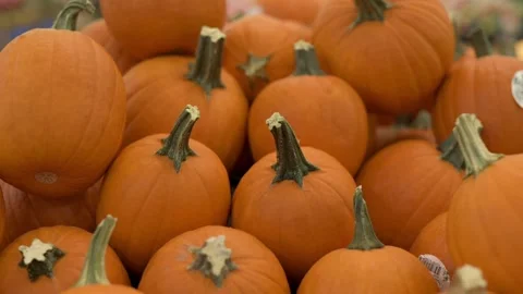 Small orange pumpkins with prominent stems, neatly stacked for display. Perfect Stock Footage 295838981